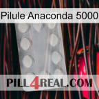 Anaconda 5000 Pill 16